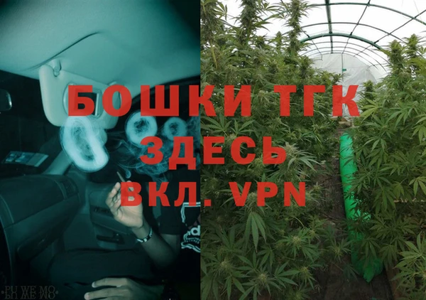 прущие грибы Володарск