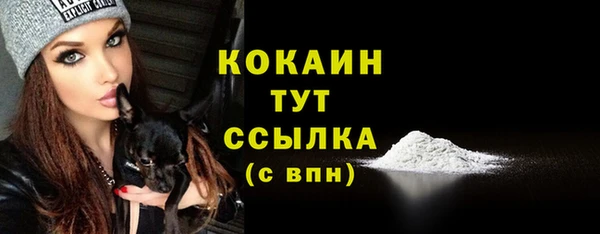 тгк Вязьма
