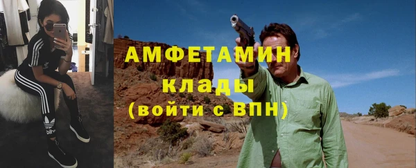 прущие грибы Володарск