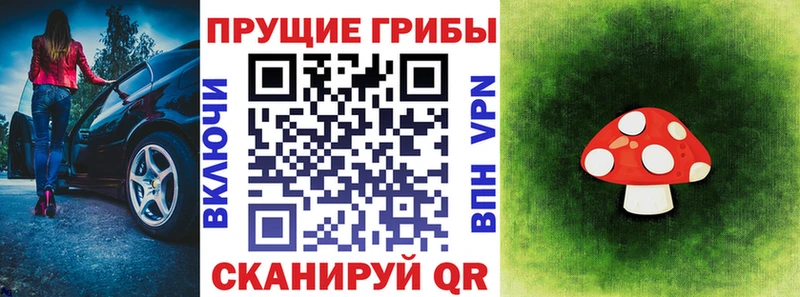 Галлюциногенные грибы Psilocybine cubensis  Купить где  Новопавловск 